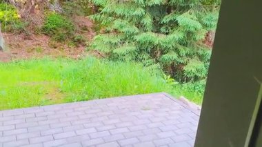 Açık balkonlu kız ormana ve dağlara bakan terasa çıktı. Harrachov, Çek Cumhuriyeti. Yüksek kaliteli FullHD görüntüler