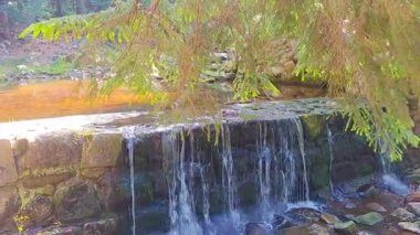 Çek Cumhuriyeti 'nin Harrachov kentindeki Krkonose dağlarında bir yaz günü boyunca güzel bir Mumlava şelalesi. Yüksek kaliteli FullHD görüntüler