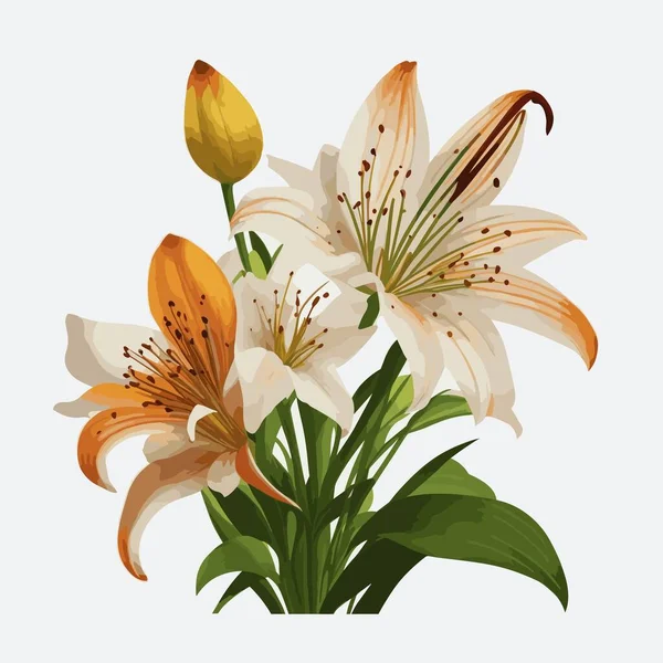 Ένα Πακέτο Λουλούδι Κρίνο Στυλ Διάνυσμα — Διανυσματικό Αρχείο