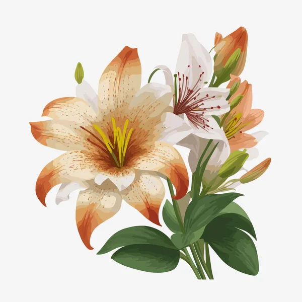 ベクタースタイルのリリーの花のパック — ストックベクタ