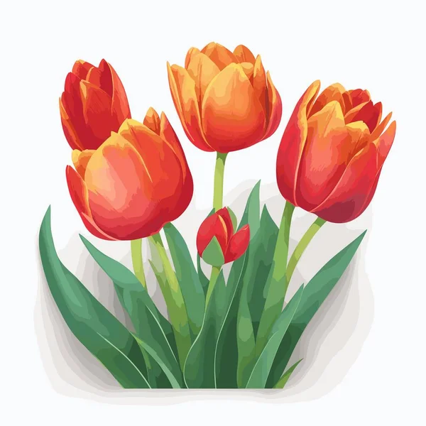 Paquet Fleurs Tulipes Style Vectoriel — Image vectorielle