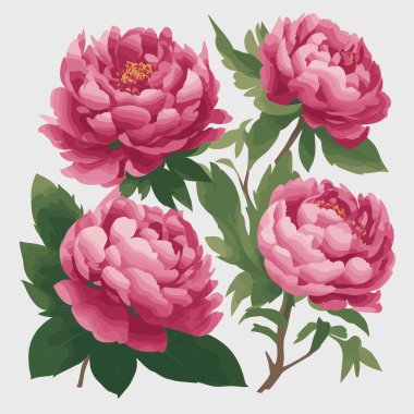 vektör biçiminde şakayık çiçeği paketi