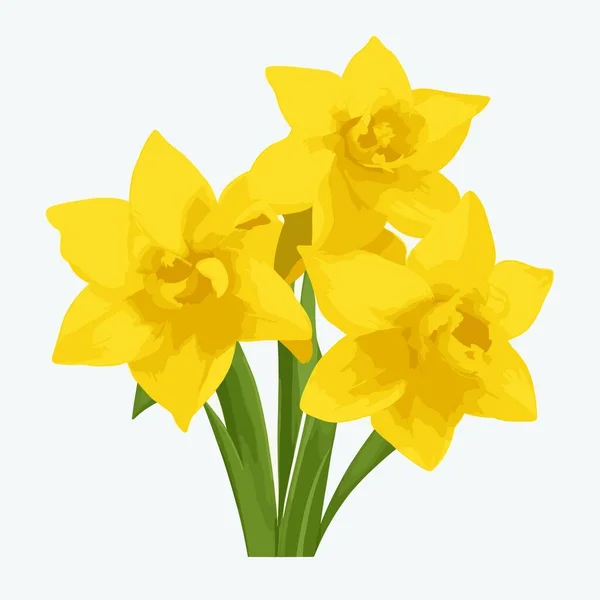 ベクタースタイルのラベンダーの花のパック — ストックベクタ