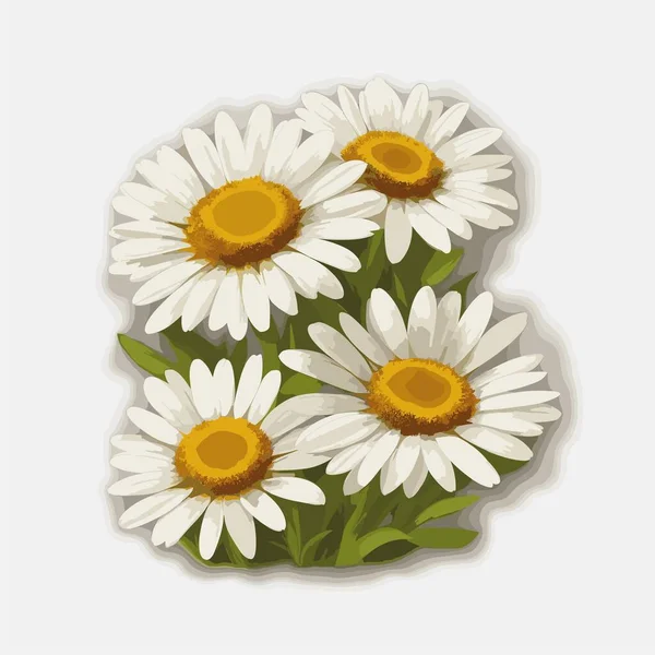矢量风格的一束雏菊花 — 图库矢量图片