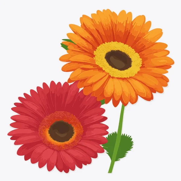 Σετ Από Τρία Φωτεινά Πορτοκαλί Λουλούδια Μια Κόκκινη Ζέρμπερα Διανυσματική — Διανυσματικό Αρχείο