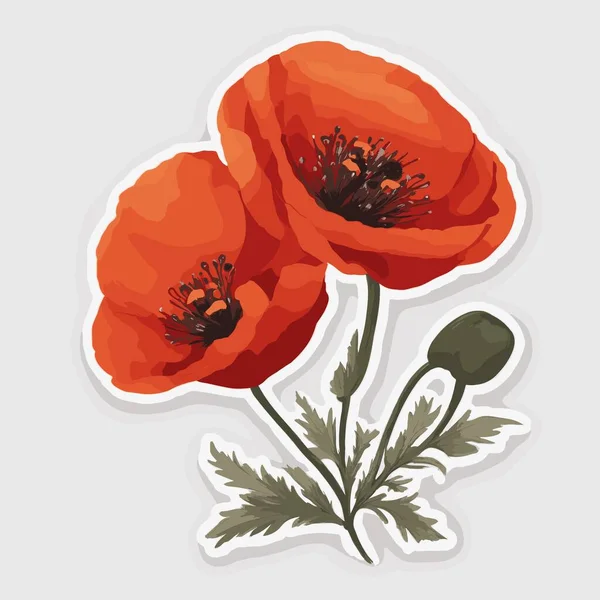 Illustration Plate Une Fleur Pavot — Image vectorielle