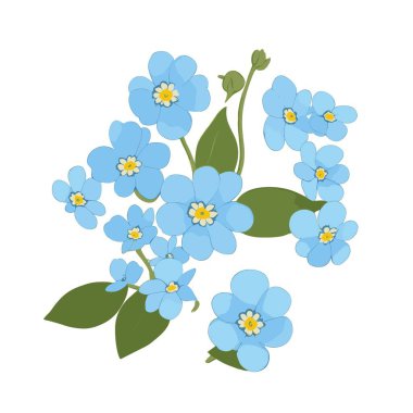 Bir paket unutma beni, vektör biçiminde çiçek değil.