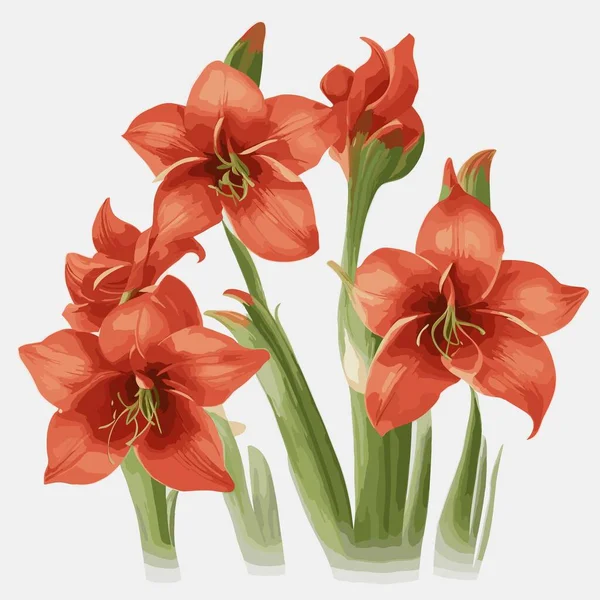 Paquet Fleurs Amaryllis Style Vectoriel — Image vectorielle