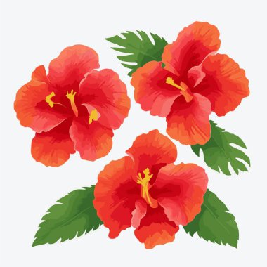 vektör biçiminde bir amber çiçeği paketi