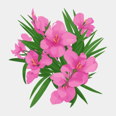 vektör biçiminde bir zakkum çiçeği paketi