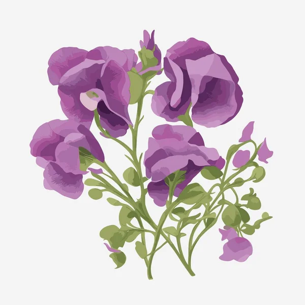 Пачка Солодких Горохових Квітів Векторному Стилі — стоковий вектор