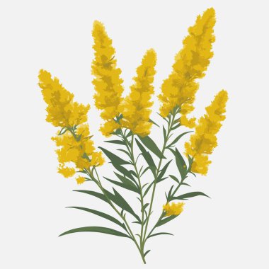 vektör biçiminde bir paket altın çiçek