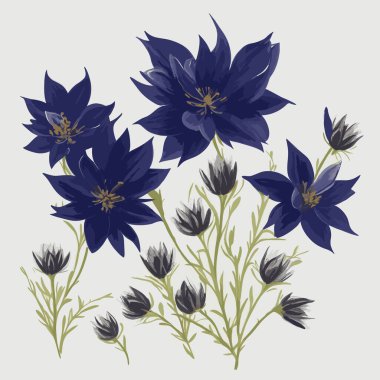 vektör biçiminde bir paket nigella çiçeği