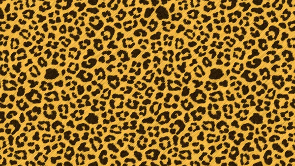 Leopard Skin Texture Predatory Beast Skin Texture Abstract Background Wallpaper — Stock Photo, Image
