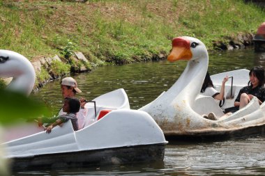 Hayvanat bahçesi gölünde ördek teknesinin keyfini çıkarıyorum.