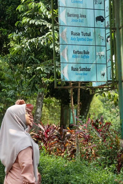 Kobieta Patrząc Kierunku Tablicy Informacyjnej Ragunan Zoo — Zdjęcie stockowe