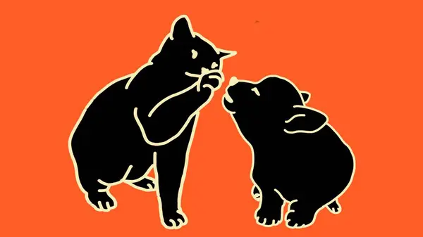Renkli arka planda sarı çizgili bir kedi ve köpeğin silueti. Logo, baskı ve dekoratif hasta için hayvan temalı konsept.