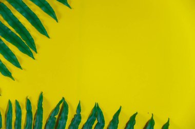Kenarlarında yeşil tropikal bitki dalları ve negatif alanları olan güzel, parlak, sarı bir yaz arkaplanı. 