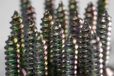 beyaz arkaplanda izole edilmiş makro çekim ile vida ucu,