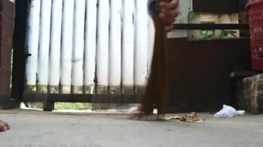 Adam süpürge sopasıyla evin bahçesini çöpten temizliyor.