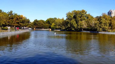 Göl ve ağaçlarla dolu sonbahar manzarası