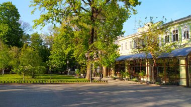 St. Petersburg, Rusya, Avrupa 'daki güzel yaz parkı.,