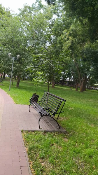 공원에 의자들 — 스톡 사진