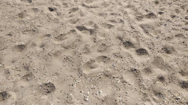 Kumda ayak izleri var.