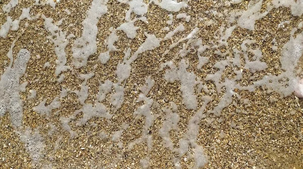 Sahilde Deniz Köpüğü — Stok fotoğraf
