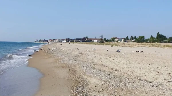 여름에 모래와 바다와 — 스톡 사진