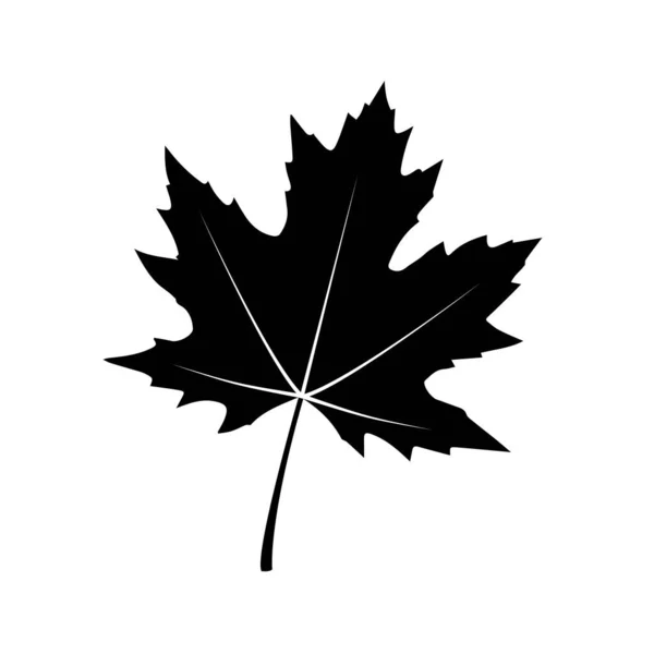 Kanadská Ikona Podzimní Listy Vektor — Stockový vektor