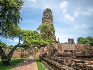 Ayutthaya, Tayland 'daki antik tapınak kalıntıları