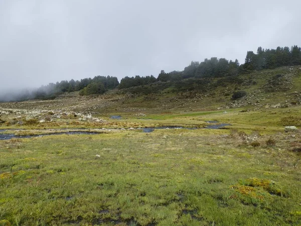 stock image Hermosa Pradera Merida Venezuela