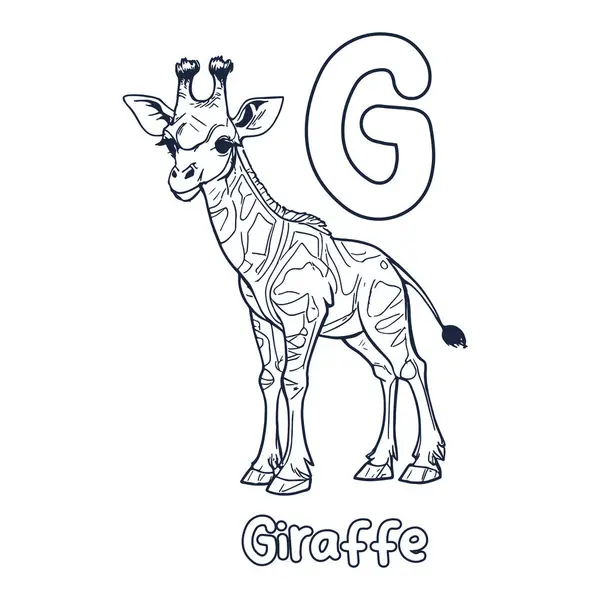 Illustration Vectorielle Girafe Alphabet Noir Blanc Livre Page Colorier Pour — Image vectorielle