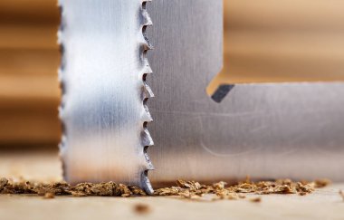 Metal bant testeresi kereste talaşı ile meşe ağacı kesimi.