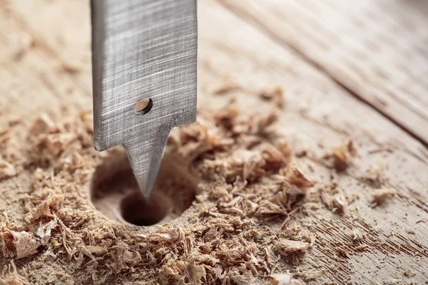 扁平或桨钻钻头在木制橡木木板上打孔 — 图库照片