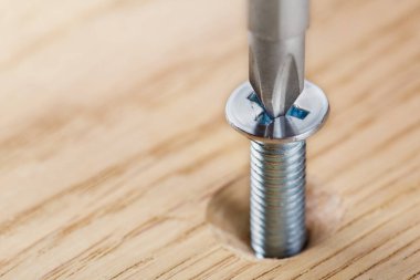 Tornavida, meşe ağacına vida takıyor.