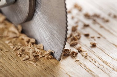 Tahta kesen dairesel testere. Meşe blokta dairesel değirmen.