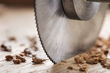 Tahta kesen dairesel testere. Meşe blokta dairesel değirmen.