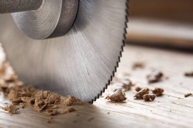 Tahta kesen dairesel testere. Meşe blokta dairesel değirmen.