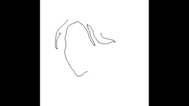 Uzun elbiseli, vektör illüstrasyonlu bir kızın sürekli bir çizimi.