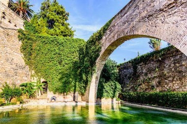 Huerto del Rey 'in Almudaina Kraliyet Sarayı' nın eteklerindeki kuğu göletinin ya da Alczar Real, Mallorca, Balearic Adaları 'nın güzel manzarası.