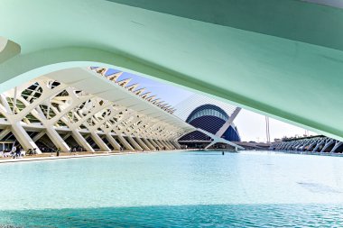 Valencia, İspanya, 20 Kasım 2023; Sanat ve Bilim Şehri Görüşleri. Çağdaş mimari. Valenciamodern mimarisi
