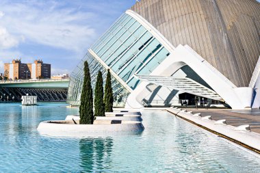 Valencia, İspanya, 20 Kasım 2023; Sanat ve Bilim Şehri Görüşleri. Çağdaş mimari. Valencia Modern Mimari