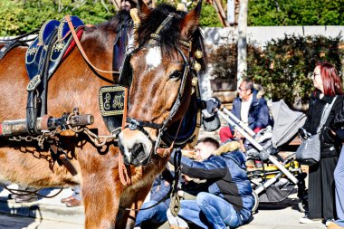 Igualada, Barcelona, 21 Ocak 2024: Geleneksel Sant Antoni Abad Festivali, Los Tres Tombs de Igualada. Antik gelenek loncasının 202. baskısı