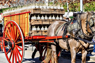 Igualada, Barcelona, 21 Ocak 2024: Geleneksel Sant Antoni Abad Festivali, Los Tres Tombs de Igualada. Antik gelenek loncasının 202. baskısı