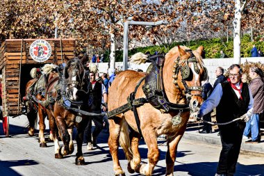 Igualada, Barcelona, 21 Ocak 2024: Geleneksel Sant Antoni Abad Festivali, Los Tres Tombs de Igualada. Antik gelenek loncasının 202. baskısı