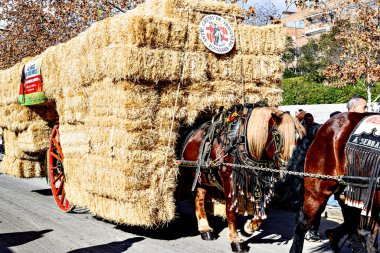 Igualada, Barcelona, 21 Ocak 2024: Geleneksel Sant Antoni Abad Festivali, Los Tres Tombs de Igualada. Antik gelenek loncasının 202. baskısı