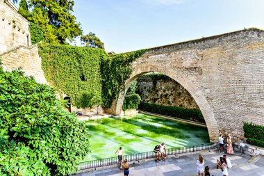 Mallorca, Balearic Adaları, İspanya, 18 Ağustos 2023; Huerto del Rey 'in Almudaina Kraliyet Sarayı veya Alczar Real Sarayı' nın eteklerindeki kuğu göletinin güzel manzarası