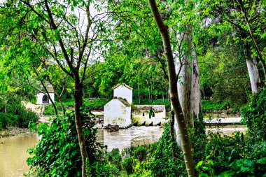 Guadaira kıyısındaki Mill de San Juan, Sevilla, Alcal de Guadaira 'daki Oromana parkının içinde.
